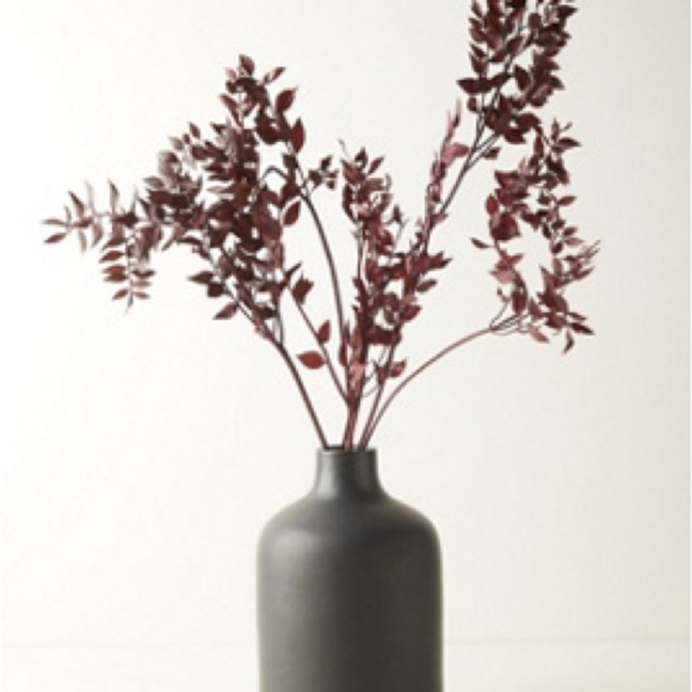 Terrain PRESERVED RUSCUS BUNCH